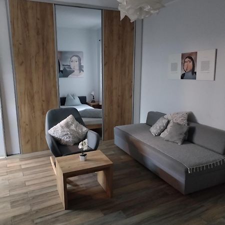 Centar Novi Sad-Apartman No 1 Ngoại thất bức ảnh